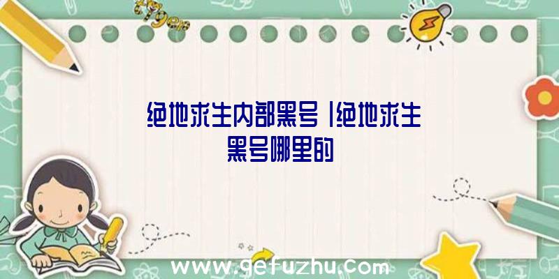 「绝地求生内部黑号」|绝地求生黑号哪里的